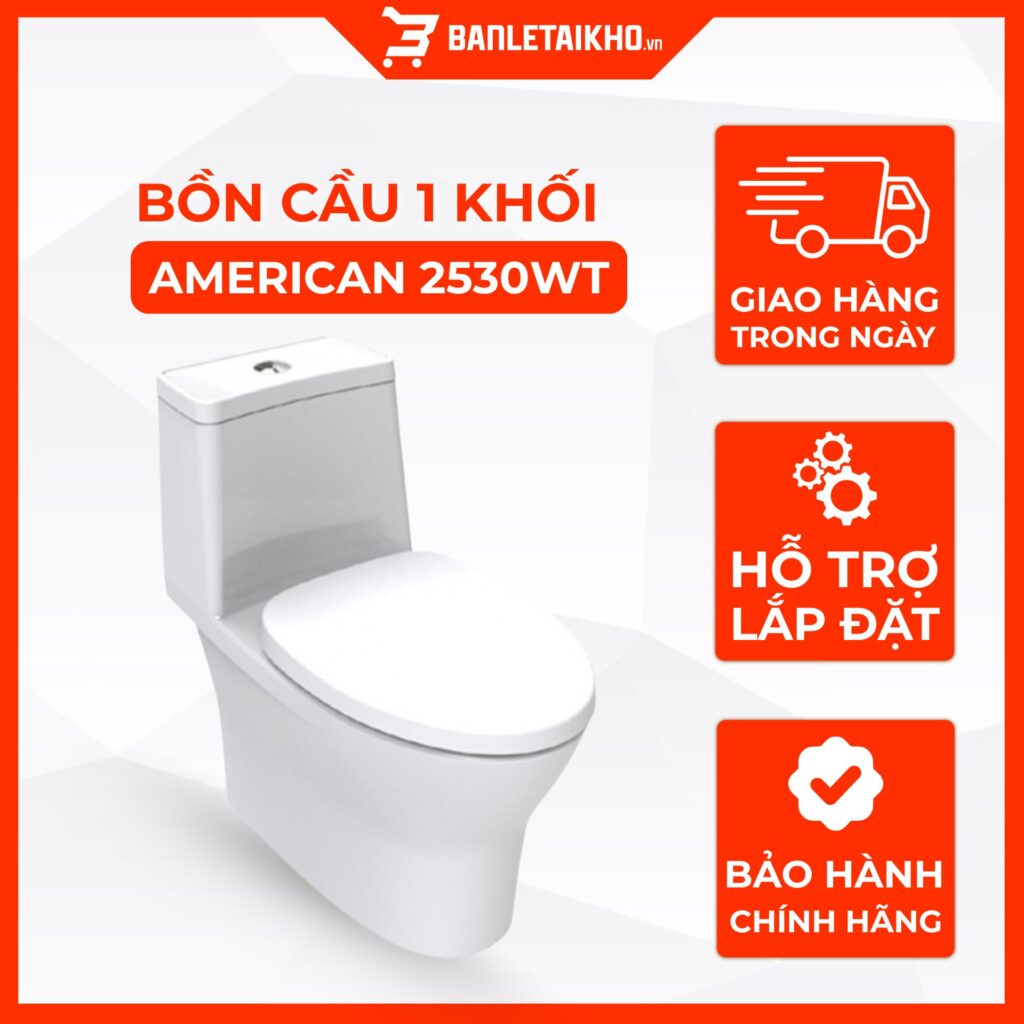 Bồn Cầu AMERICAN STANDARD 2530WT 1 Khối Nắp Đóng Êm