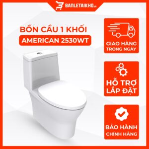 Bồn Cầu AMERICAN STANDARD 2530WT 1 Khối Nắp Đóng Êm