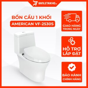 Bồn Cầu AMERICAN STANDARD VF 2530S 1 Khối Nắp Rửa Cơ Thoát Ngang